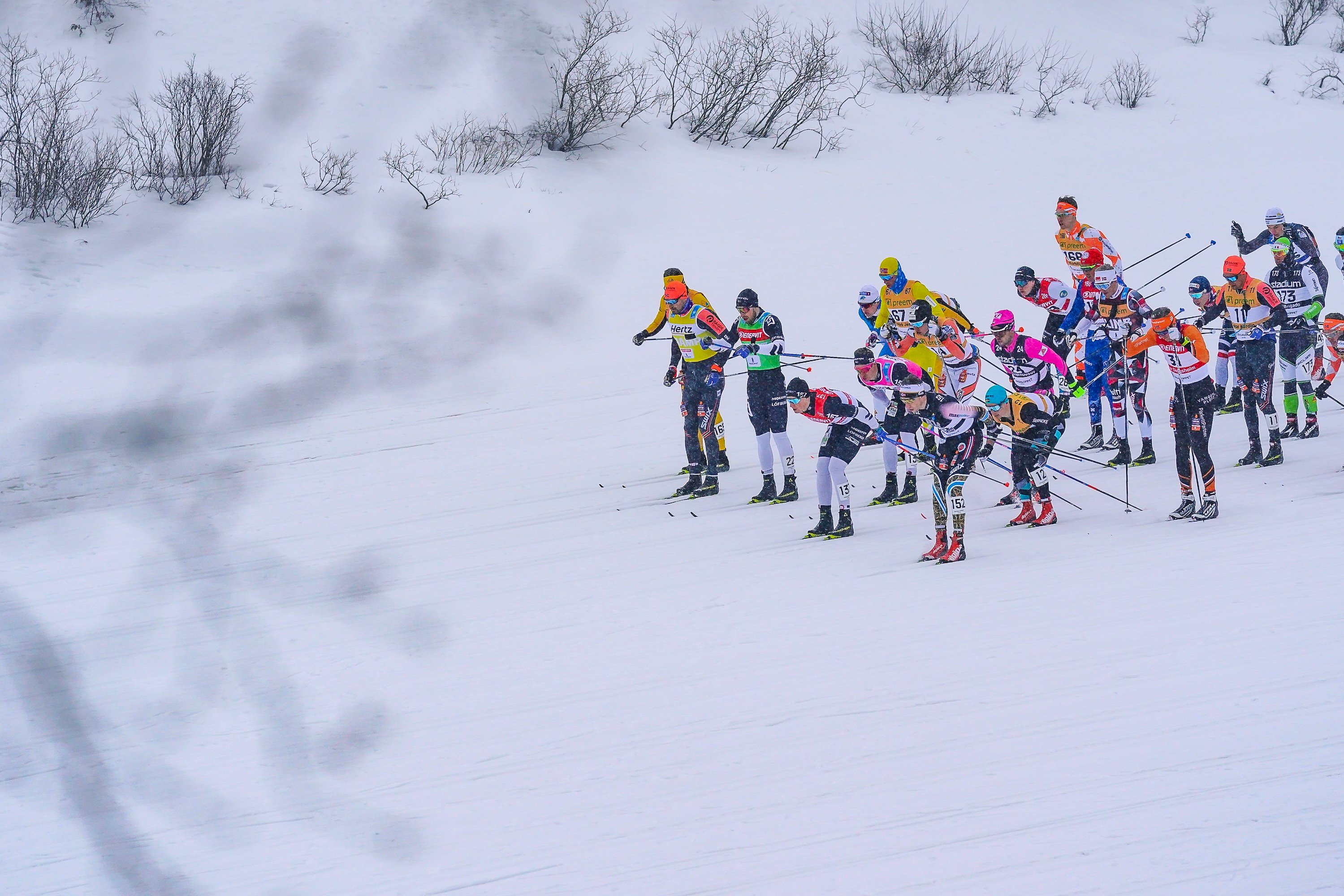 Vasaloppet 2019, Ski de fond, Ski longue distance