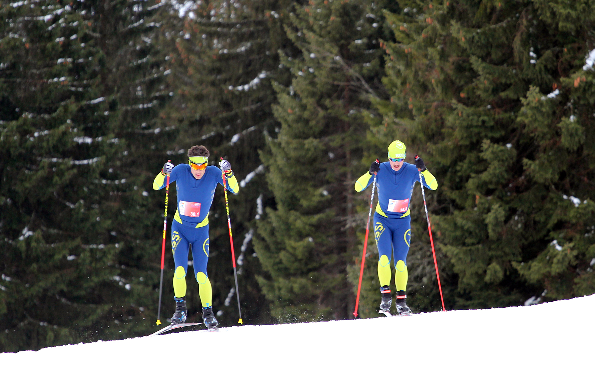 Ski de fond, biathlon , combiné nordique, saut à ski