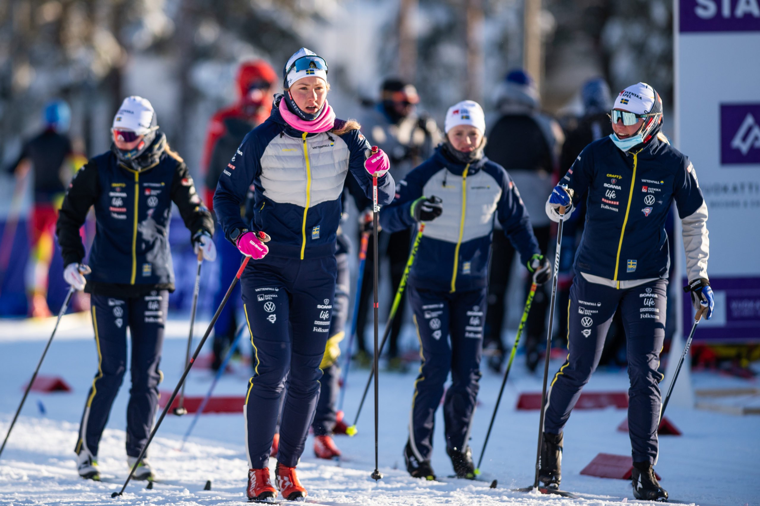 Biathlon, Ski de fond, Ski nordique, Saut à ski, Saut spécial, Combiné nordique, Nordic Magazine, Sports d'hiver